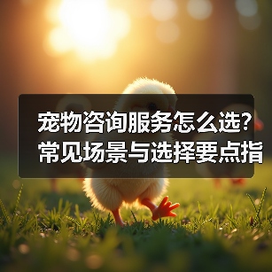 宠物咨询服务怎么选?常见场景与选择要点指南(图3) 宠物咨询服务怎么选?常见场景与选择要点指南(图3)