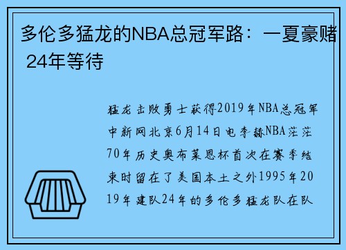 多伦多猛龙的NBA总冠军路：一夏豪赌 24年等待