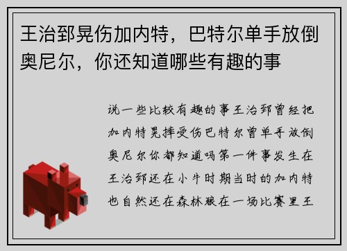 王治郅晃伤加内特，巴特尔单手放倒奥尼尔，你还知道哪些有趣的事